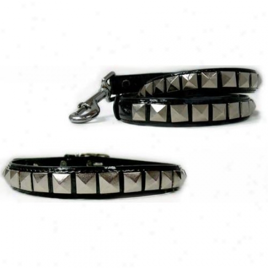 Diva-dog 7564164 Rockstar S Collar And Leash Set