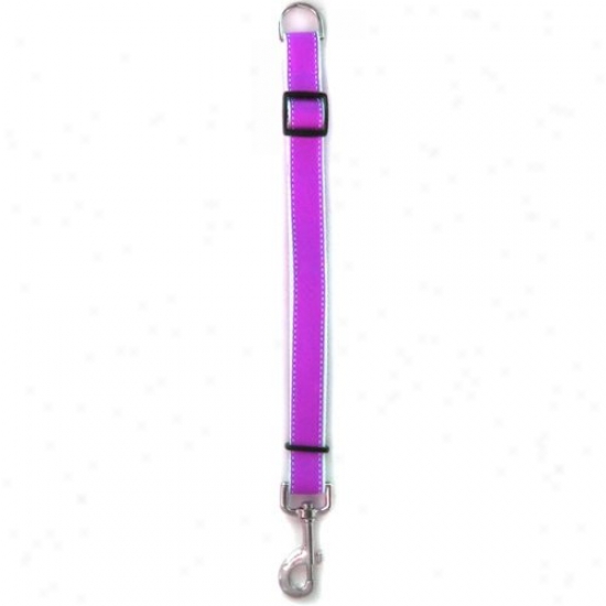 Diva-dog 76332593 Preppy In Purple Xs/s Adjustable Leash Extender