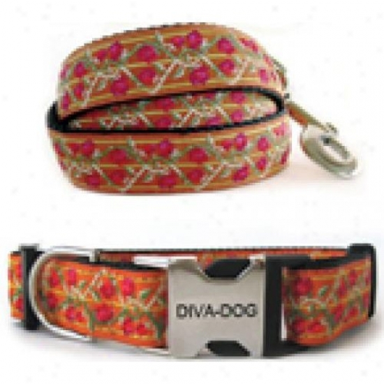 Diva-dog 8903233 Bombay Xs-sm Collar And Leash Metal/plastic
