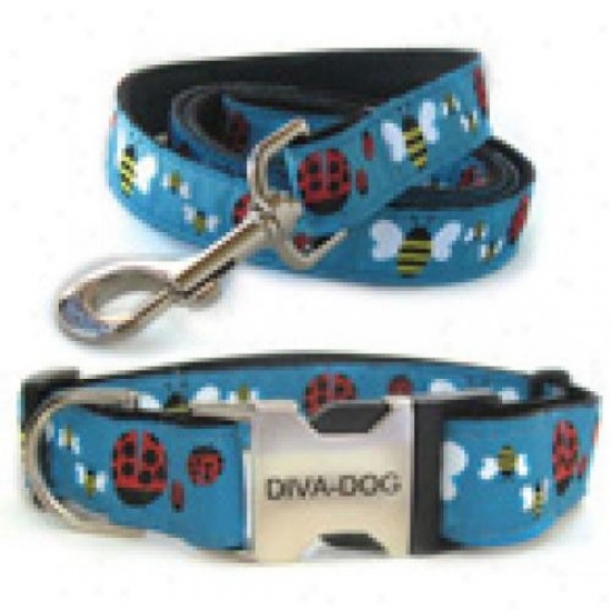 Diva-dog 8903299 Lady Bugs And Bumble Bees Xs/s Collar And Leash Metal/plastic Buckle