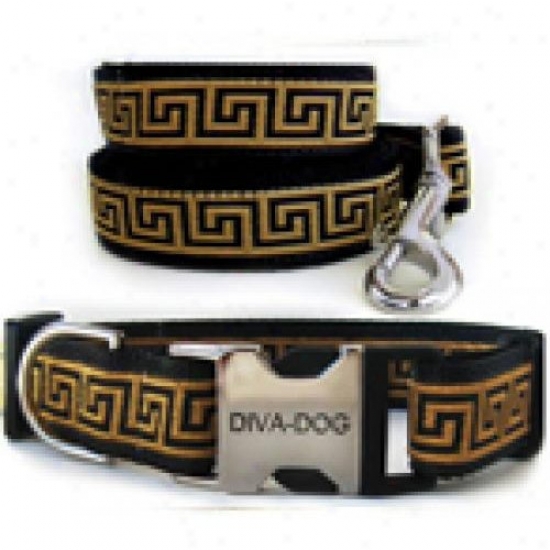 Diva-dog 8903363 Caesar Xs/s Collar And Leash Metal/plastic Buckle