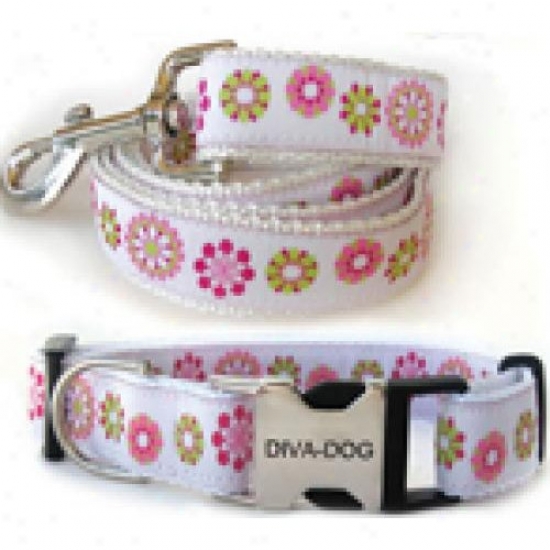 Diva-dog 8904120 Winter Garden Xs/s Collar And Leash Metal/plastic Buckle