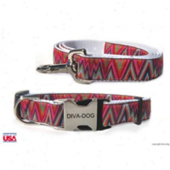 Div-adog 8927173 Ziggy M/l Collar And Leash Metal/plastic Buckle