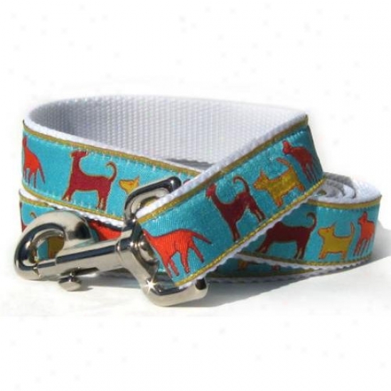 Diva-dog 8961257 Tailgate M/l Leash