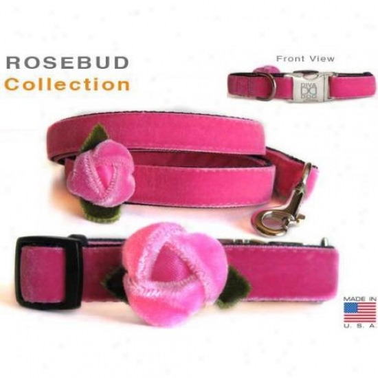 Diva-dog 9244630 Rosebud Xs/s Adjustable Leash Extender