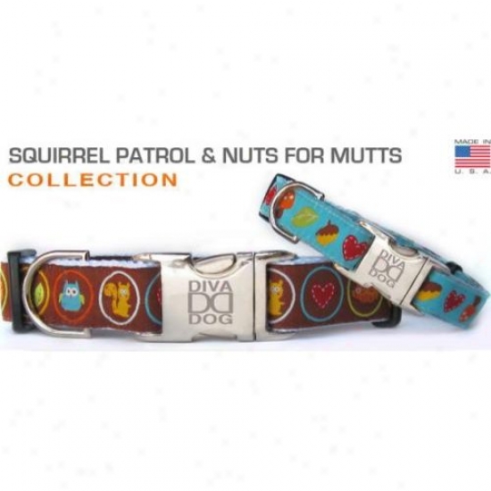 Diva-dog 9320791 Nuts For Mutts Teacup Collar