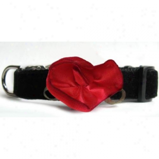Diva-dog 977dd1 Carnation Red TeacupA djustable Collar