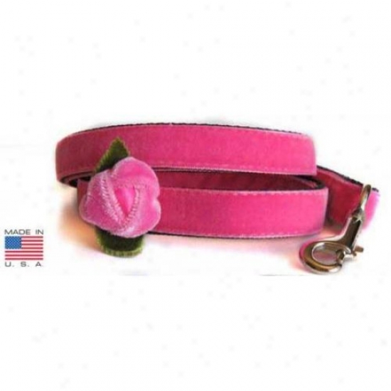 Diva-dog Dd34 Rosebud Teacup Leash