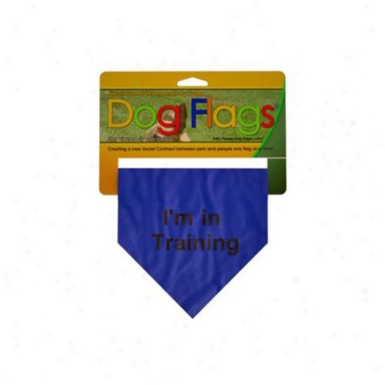 Dog Flags Bf-0005 Blue In Training Flags