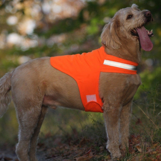Dog Not Gone Safety Dog Vest