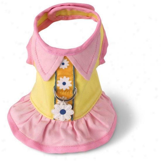Doggles Dog Boutique Harness In Yeklow