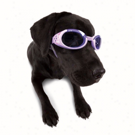 Doggles Ils Lense Dog Goggles In Lilac Flower