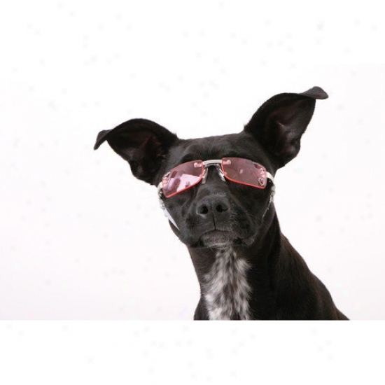 Doggles K9 Optix  Dog Sunglasses In Pink