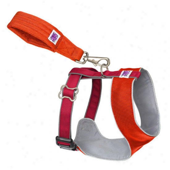 Doggles Mutt Gear  Dog Comfort Harness In Orange And Red