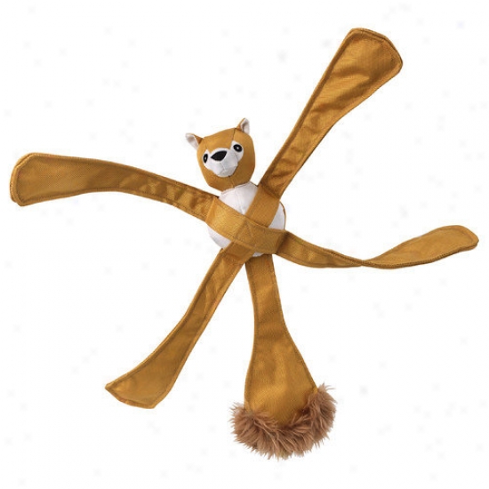 Doggles Pentapulls  Squirrel Dog Toy