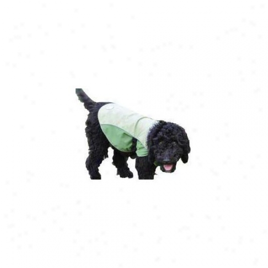 Doggles Sierra Dog Supply  Canine Coat In Green