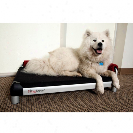 Doggysnooze Snoozelounge Dog Bed With Long Legs