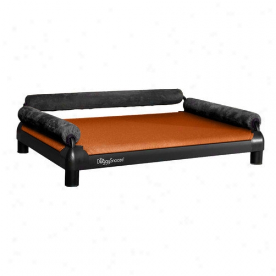 Doggysnooze Shoozesofa Dog Bed With Long Legs