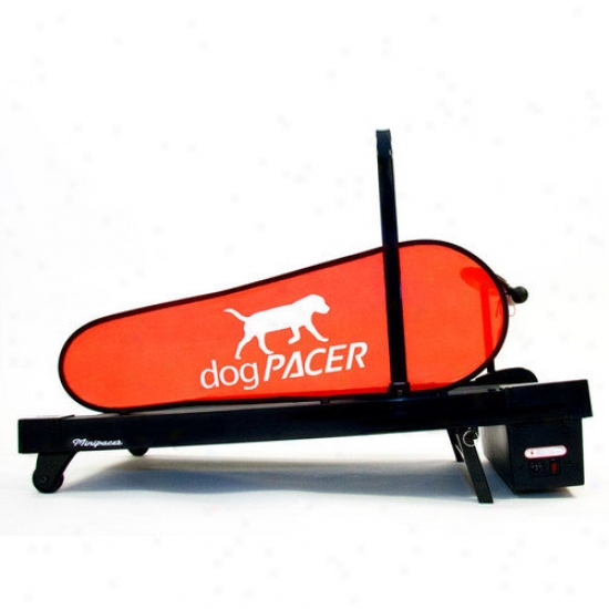 Dogpacer Mini Pacer Dog Treadmill