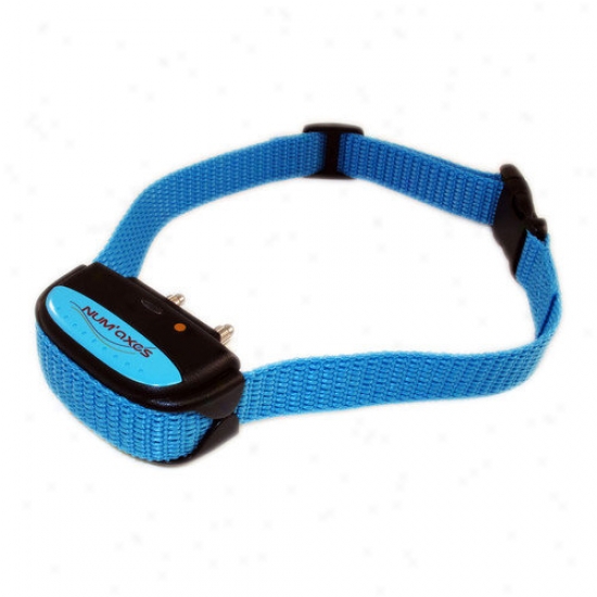 Dogtek Nobrak Pulse Bark Hinder Collar