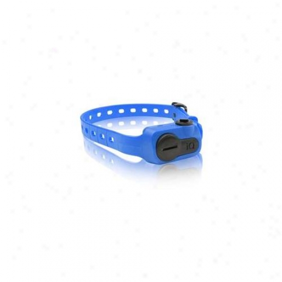 Dogtra Iq-bark-blu Iq No Bark Collar Blue