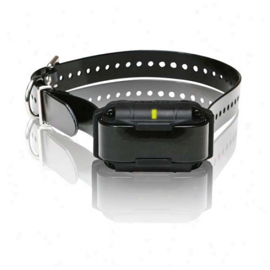 Dogtra Surestim H Plus Extra Dog Collar