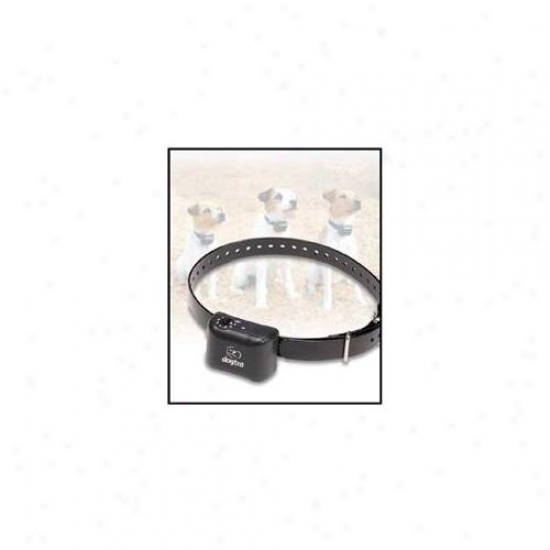Dogtra Ys300 No Bark Put a ~ on For Small To Mean Size Dogs