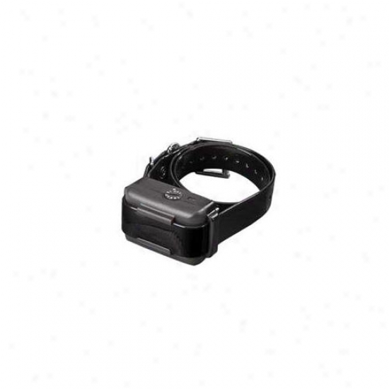 Dogtra Ys500 No Yelp Dog Collar