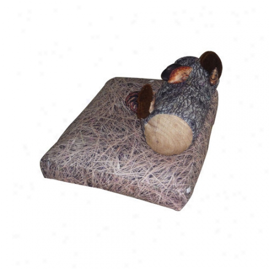 Dogzzzz Squirrel Dog Bed And Toys Set