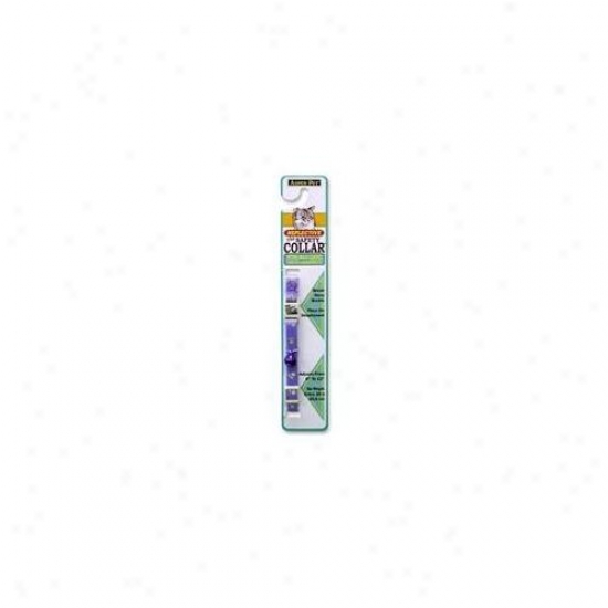 Doskocil 0322374 Lavender Reflective The Safety Collar
