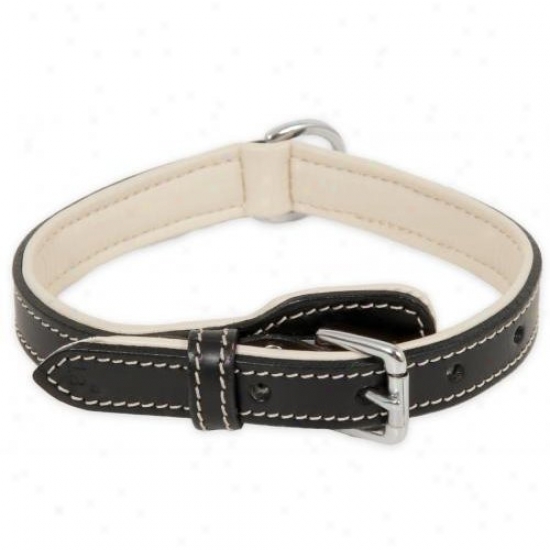 Doskocil 10695 1in X 20in Black & Cream Dog Ring