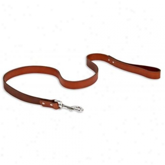 Doskocil 10833 1in X 48in Brown Leather Dog Leash