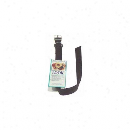 Doskocil - Aspen Pet 16inch X . 63inch Black Nylon Dog Collars  15460