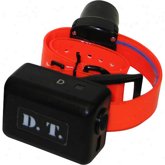 Dt Systems 1850add-o Plus Replacement Or Add On Collar - Orange