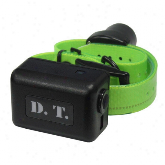 Dt Systems H2o 1-mile Remote Dog Trainer Add-on Collar With Beeper In Green
