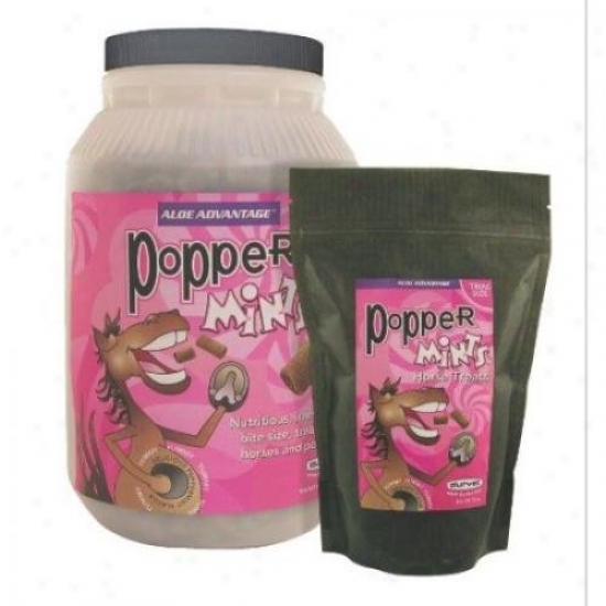 Durvet 077-00500 Popper Mints Treat Jar