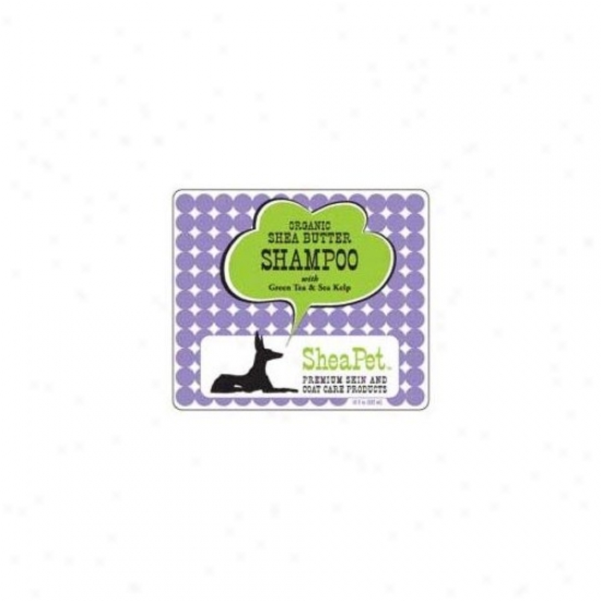 Earthbath Shea Pet Green Tea Kelp Shampoo (18 Oz.)