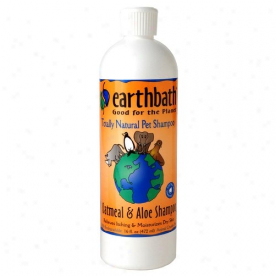 Earthwhile Endeavors Inc Pa1p 16 Oz Oatmeal And Aloe Shampoo