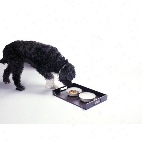 Enchanted Home Pet Dog Feeding Platter