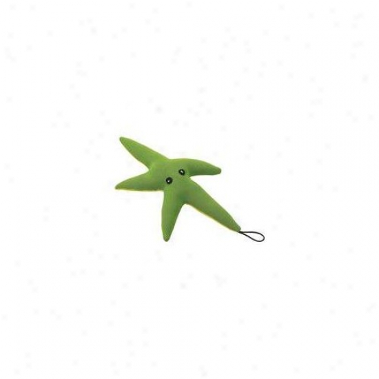 Etihcal Pet Water Buddy Starfish Dog Toy In Unseasoned