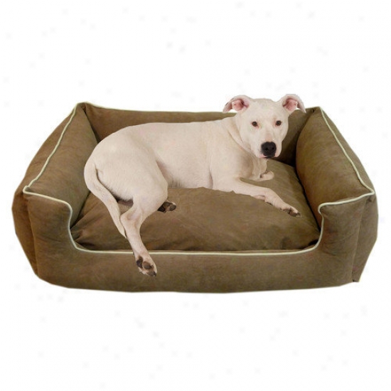 Everest Pet Low Profile Kuddle Lounge Dog Bed