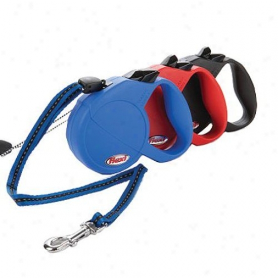 Explore Dog Leash