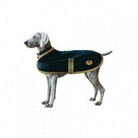 Fleece Dog Blanket - Black And Gold