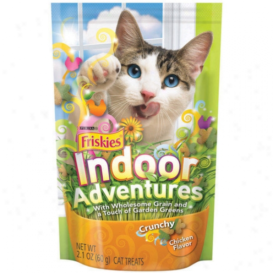 Friskies Crunchy Indoor With Chicken Flavor Cat Treats (2.1-oz Pouch, Case Of 10)