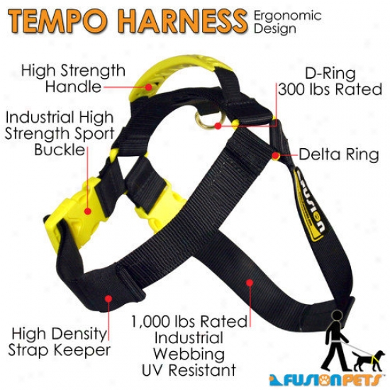 Fusion Pet Tempo Dog Harness