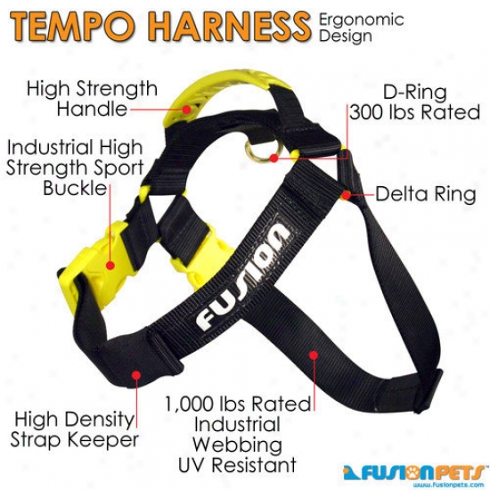 Fusion Pet Tk9 Auto Dog Safety Seat