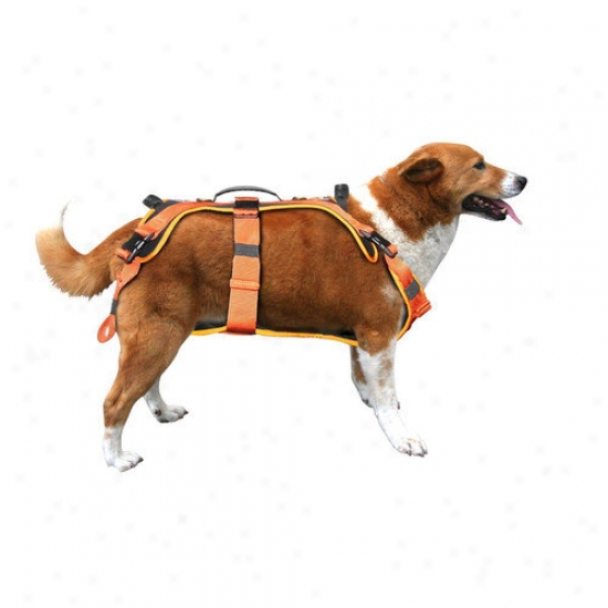 Fusion Pet Virtua Weighty  Duty Dog Harness