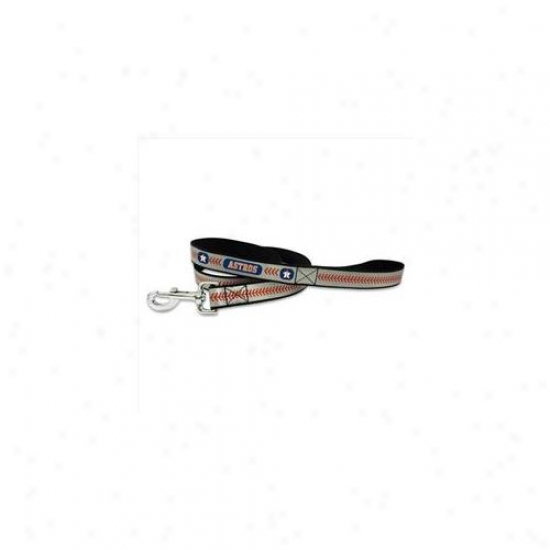 Gamewear Rnl-mlb-hoa-s Houston Astros Small Baseball Leash In Reflective