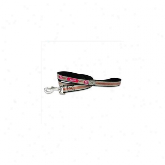 Gamewear Rnl-mlb-wan-s Washington Nationals Small Baseball Leash In Reflective