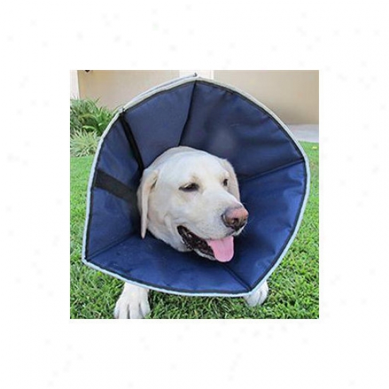 G&b Marketing Procone Soft Recovery Collar In Navy